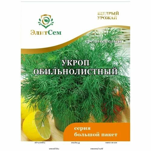 ������ ������ ������ ����� �������������� BIG �������� XXXL 10 � (�������) ����