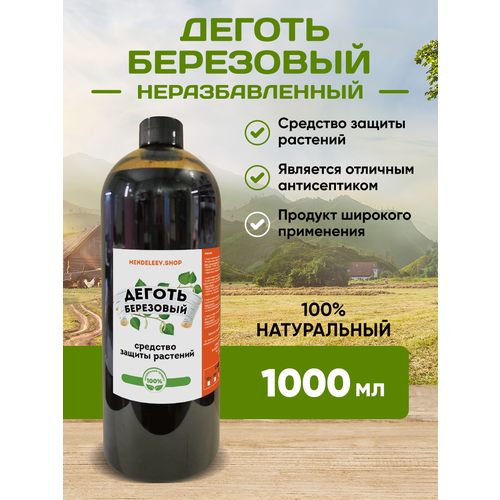 ������ ������ ������ ��������� 1000 �� ����