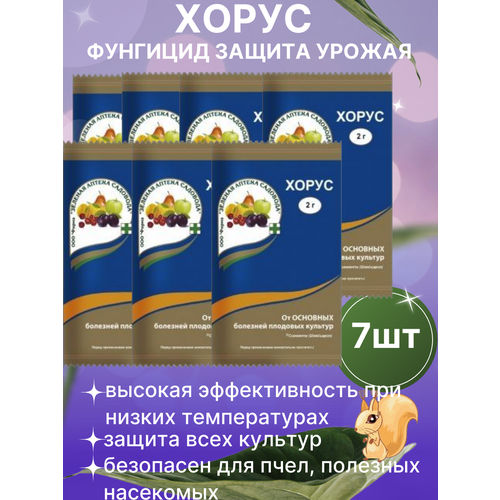 ������ ������ �������� ������ �������� �� �������� ����� 7 �� ����