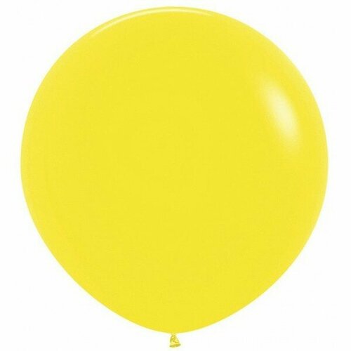 ������ ������ ����� ��������� ������, ������ 100 �� ����