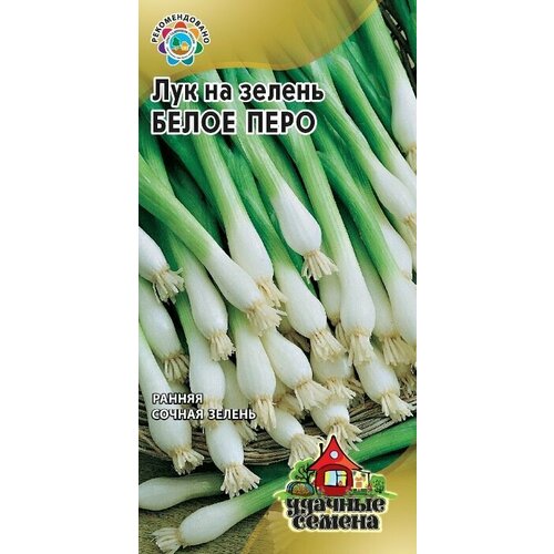 ������ ������ ������ ��� �� ������ ����� ���� ����