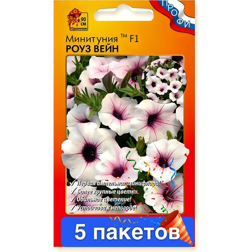 ������ ������ ����� ��������� ���� ���� F1 5 ������� ����