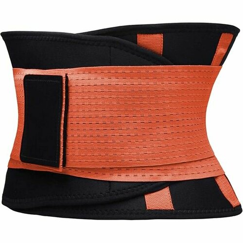 ������ ������ ������ ���� ��� ��������� CleverCare, ���������, ������ L TL-LB033O ����