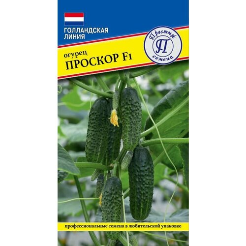 ������ ������ ������ ������� F1 ����