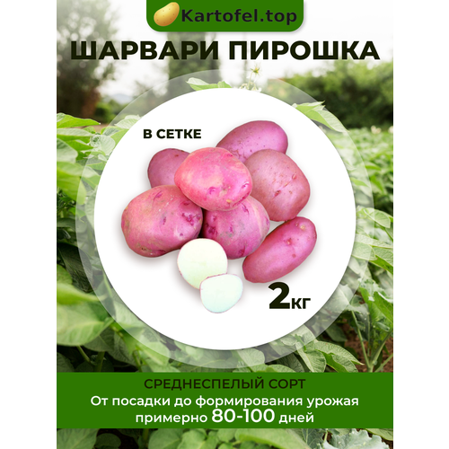 ������ ������ �������� ��������� ������� ������� 2 �� ����