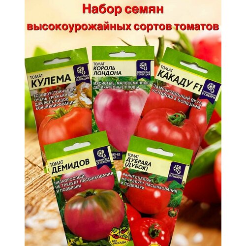 ������ ������ ������ ������ �������, ��������. ����� 5 �������� ����