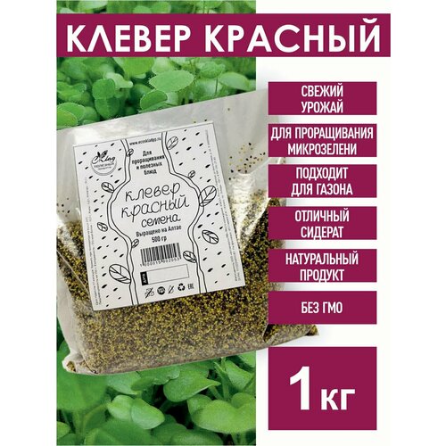 ������ ������ ������ ������� ������ ��� ������������, 1 �� ����