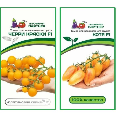 ������ ������ ����� ����� ����� ������ + ���� F1 ������ ������� (2 ��������-10+5 �� �����) ����