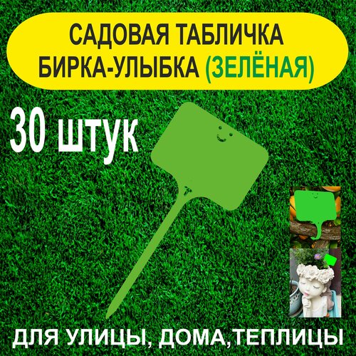 ������ ������ ������� ����� - ������. �������� ��� ��������. 30 ���� (������) ����