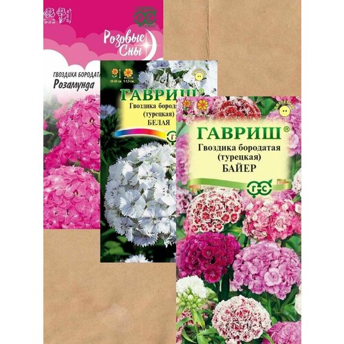 ������ ������ ������ �������� ��������� (��������) ������ 3 ��. + �������! ����