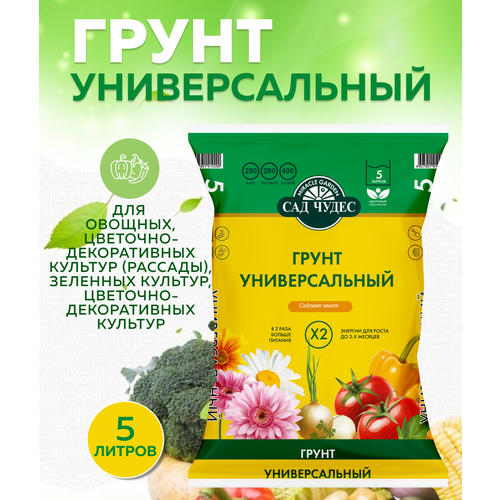 ������ ������ ����� ������������� ��� �����, 5 � ����