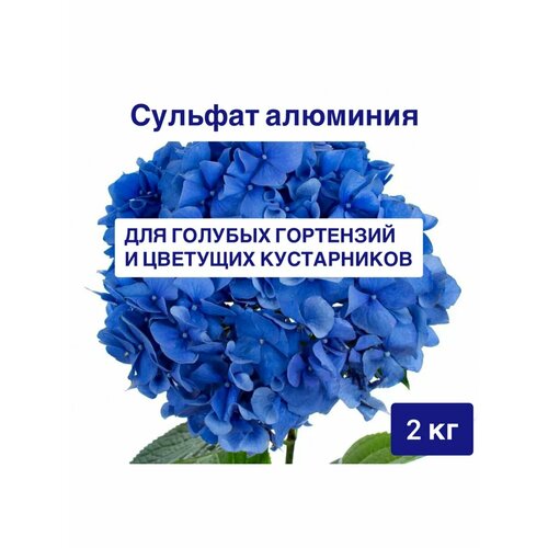 ������ ������ ������� �������� ��� ��������� 2 �� ���� ����