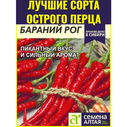 ������ ������ ������ ����� ������� ������� ��� - 0,2 �. �����������, �������������� ���� ����