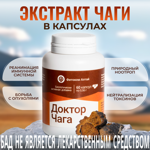 ������ ������ ������ ����, �������� ���� � ��������, ���, 60 ����, ������� ����� ����