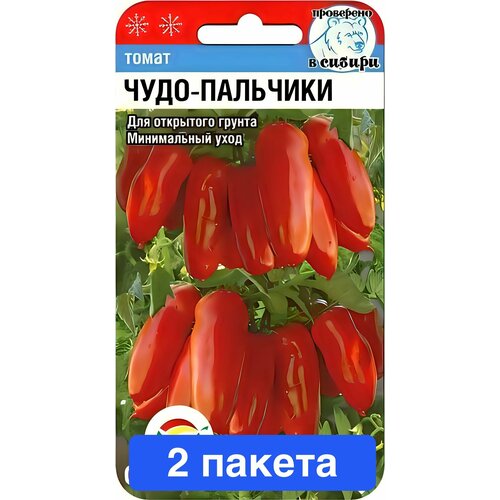 ������ ������ ����� ����-�������� 2 ������ ����