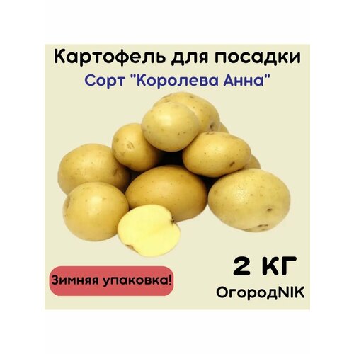 ������ ������ ��������� �������� 