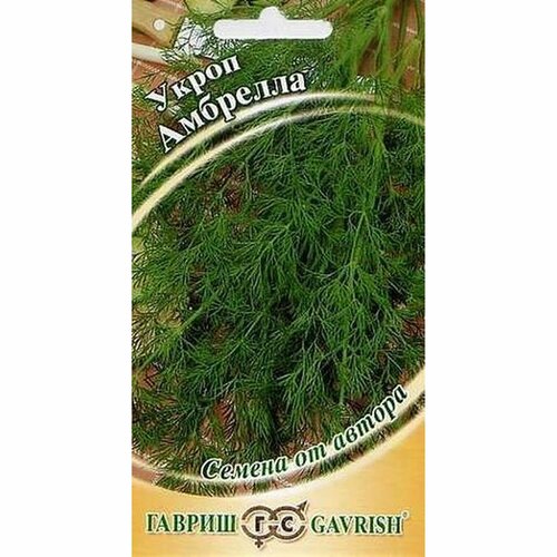 ������ ������ ������ ����� �������� (������) 2� ����