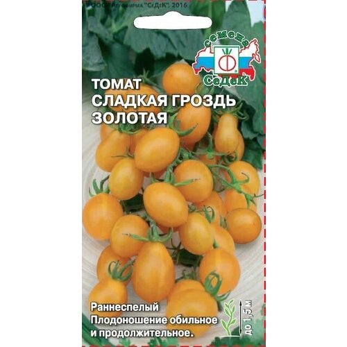 ������ ������ ����� ������� ������ ������� (3 ��������), ������ ����