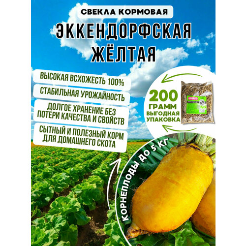 ������ ������ �������� ������ ������������� ������ ������ 200 ��. ����