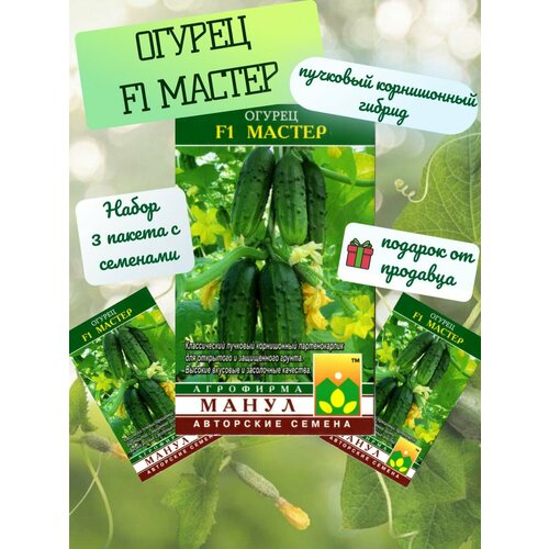 ������ ������ ������ ������� ������ F1 - 3 ������ ����