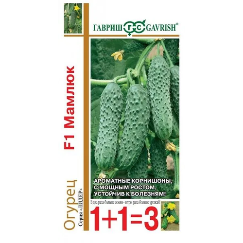 ������ ������ ������ 