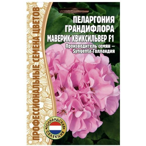 ������ ������ ������ ���������� ����������� 