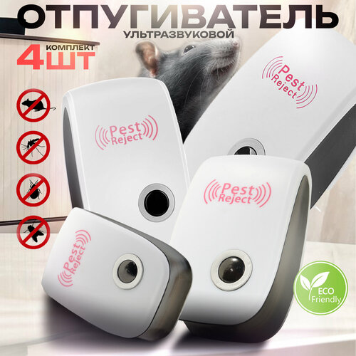 ������ ������ ������������ ��������������, 4 �� ����