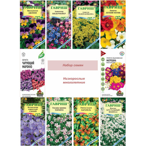 ������ ������ ������ ����������� ����������� ������ ����