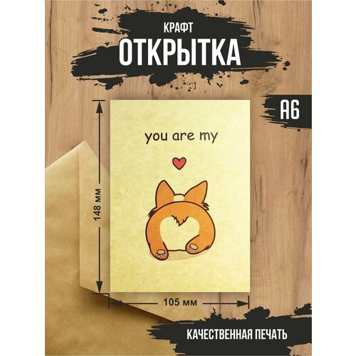 ������ ������ ����� �������� 