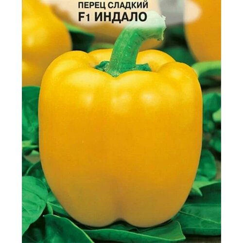 ������ ������ ������������� ������ ����� �������� ������ F1 ����