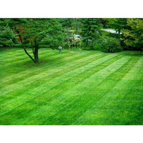 ������ ������ ����� ����� �������� ���� ������� �����, ����� ������ ������ ����������������, �� ������� ������� ����������, 500 �� ����� ����