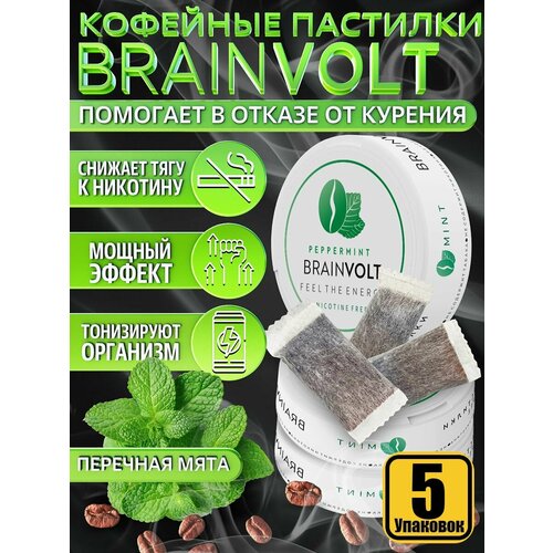 ������ ������ �������� �� ������� �������� �� ������ ���� 100�� 5 �������� ����