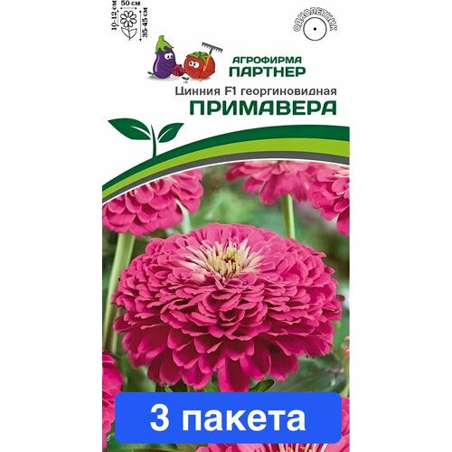 ������ ������ ����� ������ ��������� F1 ������� 3 ������ ����