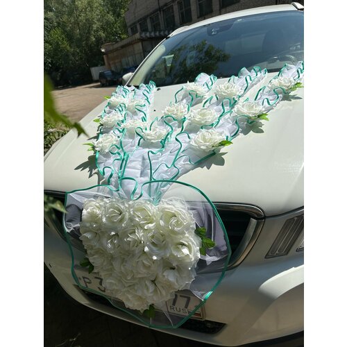 ������ ������ ����� ��� ���������� ���� 