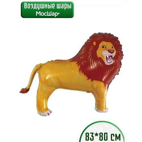 ������ ������ ��������� ��� �������������� ������ ������ ��� 70 �� ����