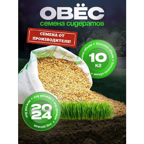 ������ ������ ������ ���� 10 �� �������� ��� ������� � ���� ������� ������ ����