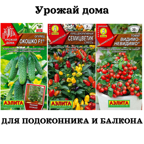 ������ ������ ������ ��� ������� �����: ������, ����� ������, ����� ����� ����