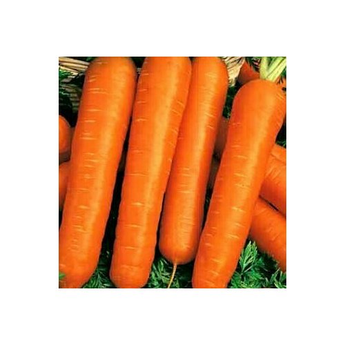 ������ ������ ������ ������� �������, �������, ����, 300��, ������ ����