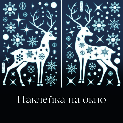 ������ ������ �������� ���������� �� ���� ����� ���� ����