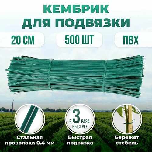 ������ ������ ����� �������� ��� ������� �������� 4�� �20 �� 500 ���� �������, ������� - ��������� � ��� ����