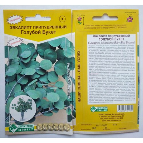 ������ ������ ������ ��������� 