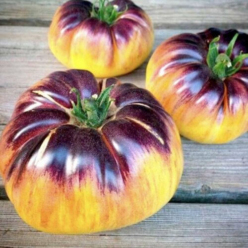 ������ ������ ������ ������ ����� ���� ������ 10 ��. ����