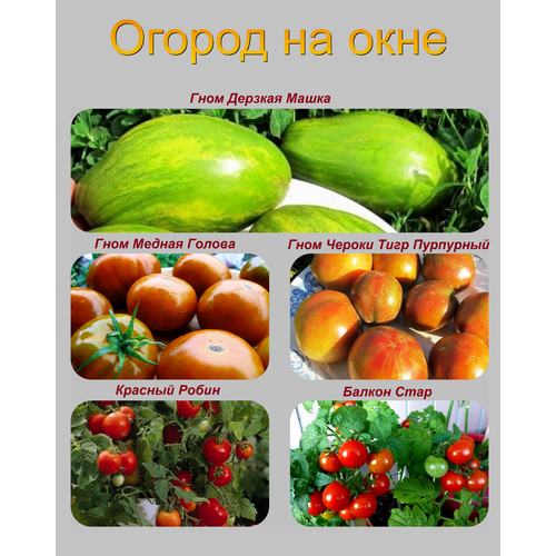 ������ ������ ����� ������������� ����� ��� ��������� ������� ����