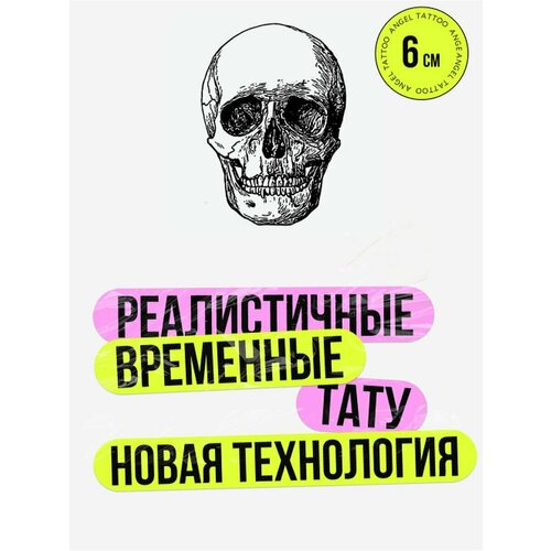 ������ ������ ���� ���������� �������������� �������� ����� ����