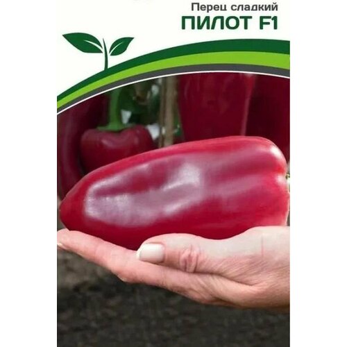 ������ ������ ������������� ������ ����� �������� ����� F1 ����