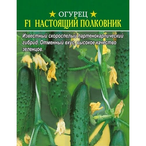 ������ ������ ������������� ������ ������ F1 ��������� ��������� ����