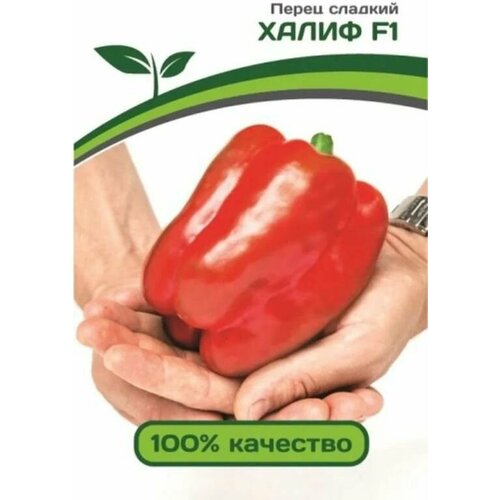 ������ ������ ������������� ������ ����� �������� ����� F1 ����