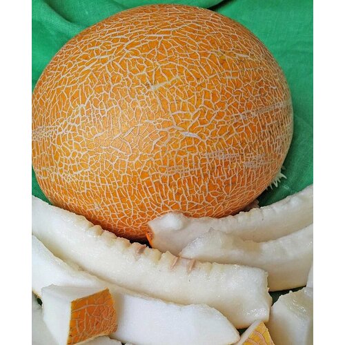 ������ ������ ������������� ������ ���� F1 ������� ����