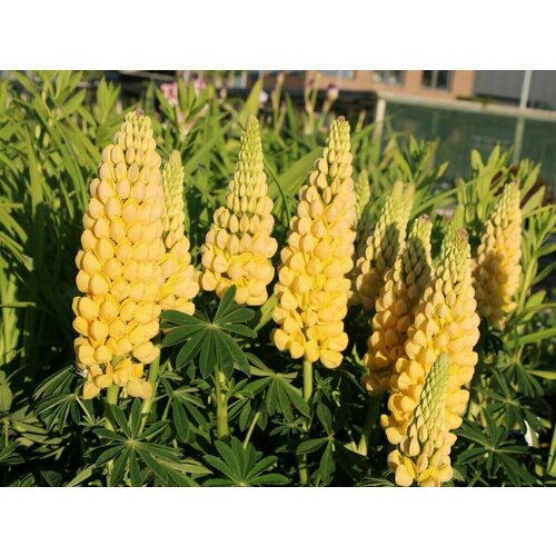 ������ ������ ����� ����������� ���������, ������������� �������������� �����������, ��������� ����� ������, ��� ������� ��������, ��� ������� �� ������, 17 ����� ����