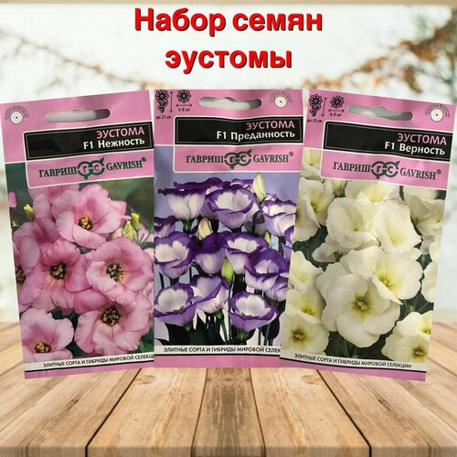 ������ ������ ������ ������ ��� ���� � ���� ���� ������ ������� F1 ����� 3 ��. ����